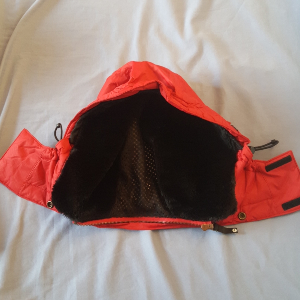 American Eagle Outfitters Winter Coat - Picture 4 of 16